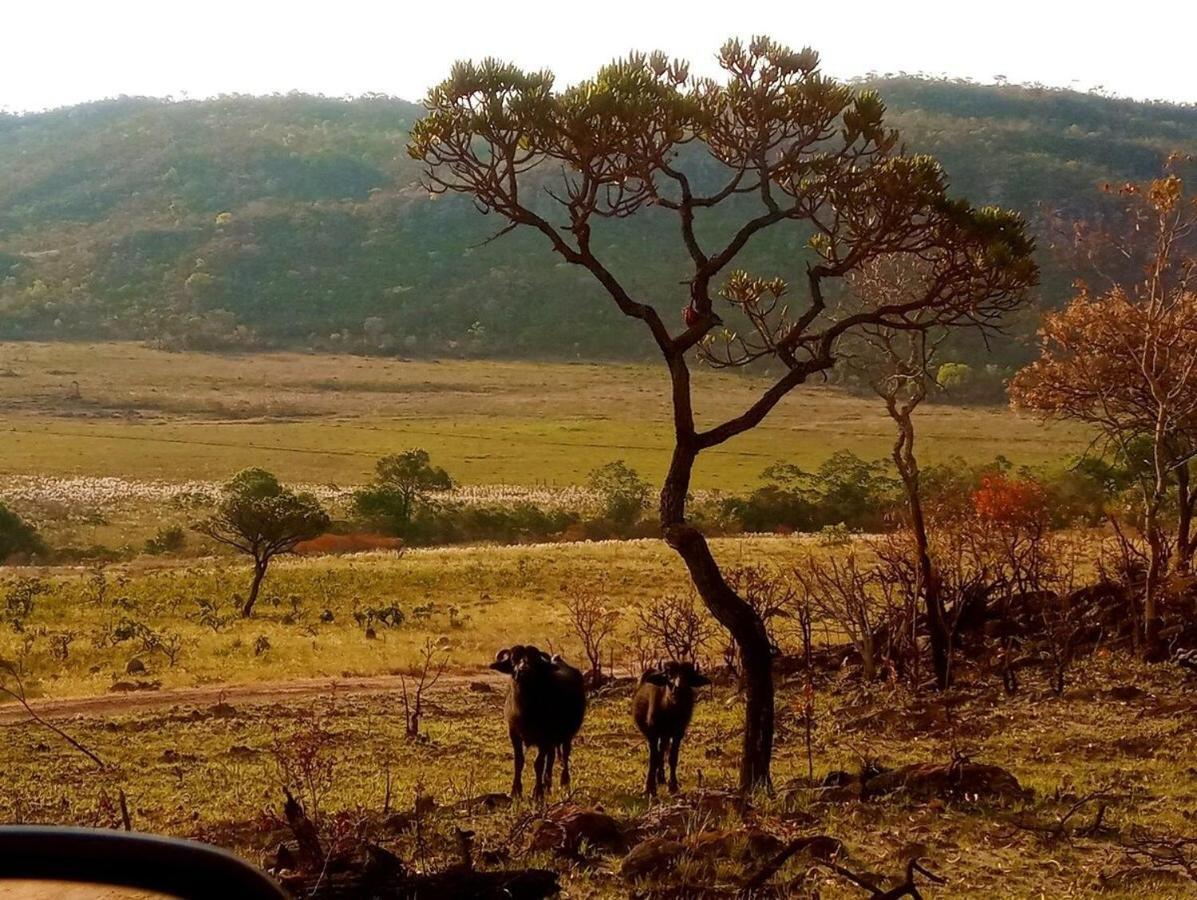 Villa Agape - Chapada Dos Veadeiros Alto Paraíso de Goiás Kültér fotó