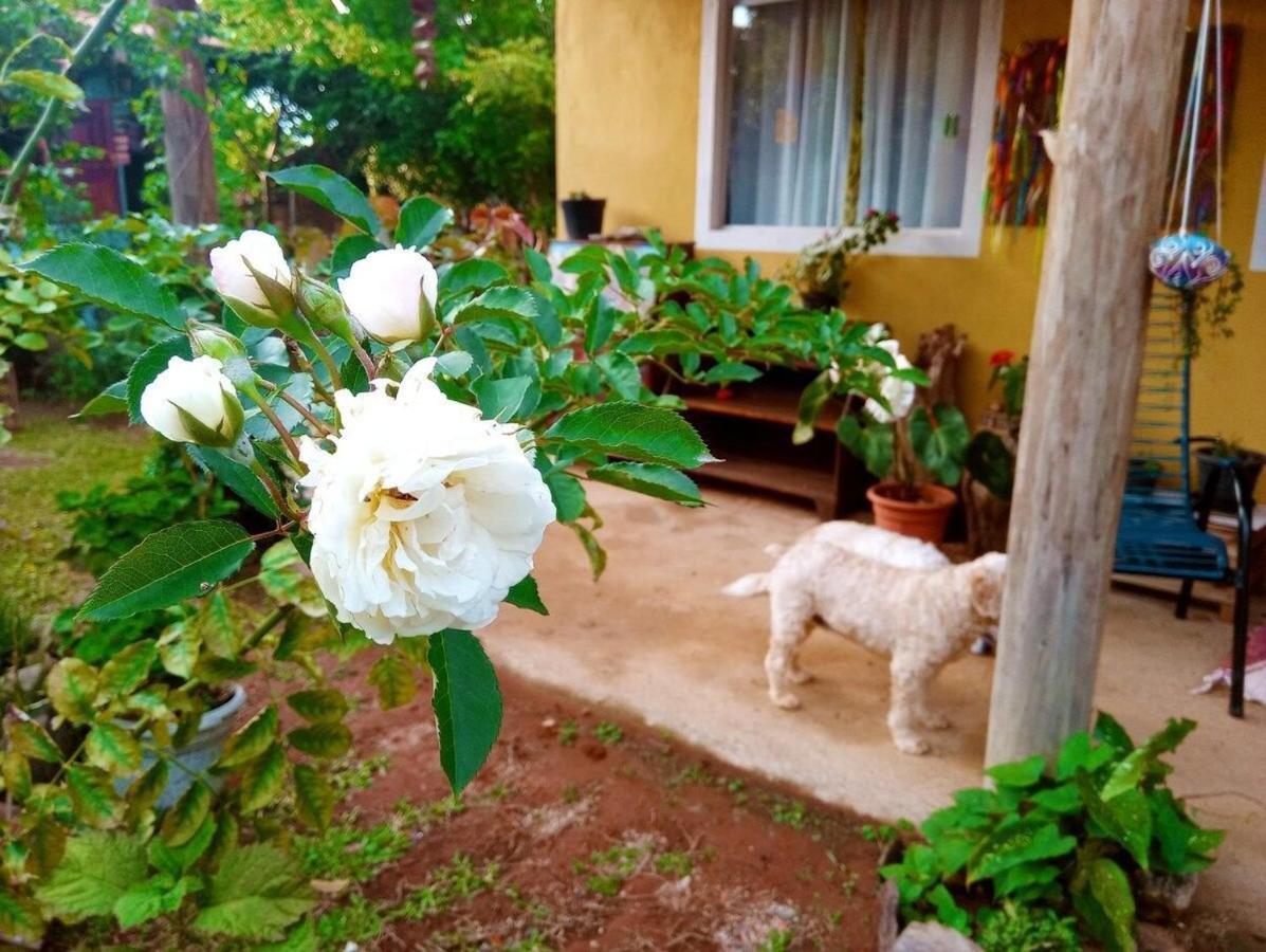 Villa Agape - Chapada Dos Veadeiros Alto Paraíso de Goiás Kültér fotó