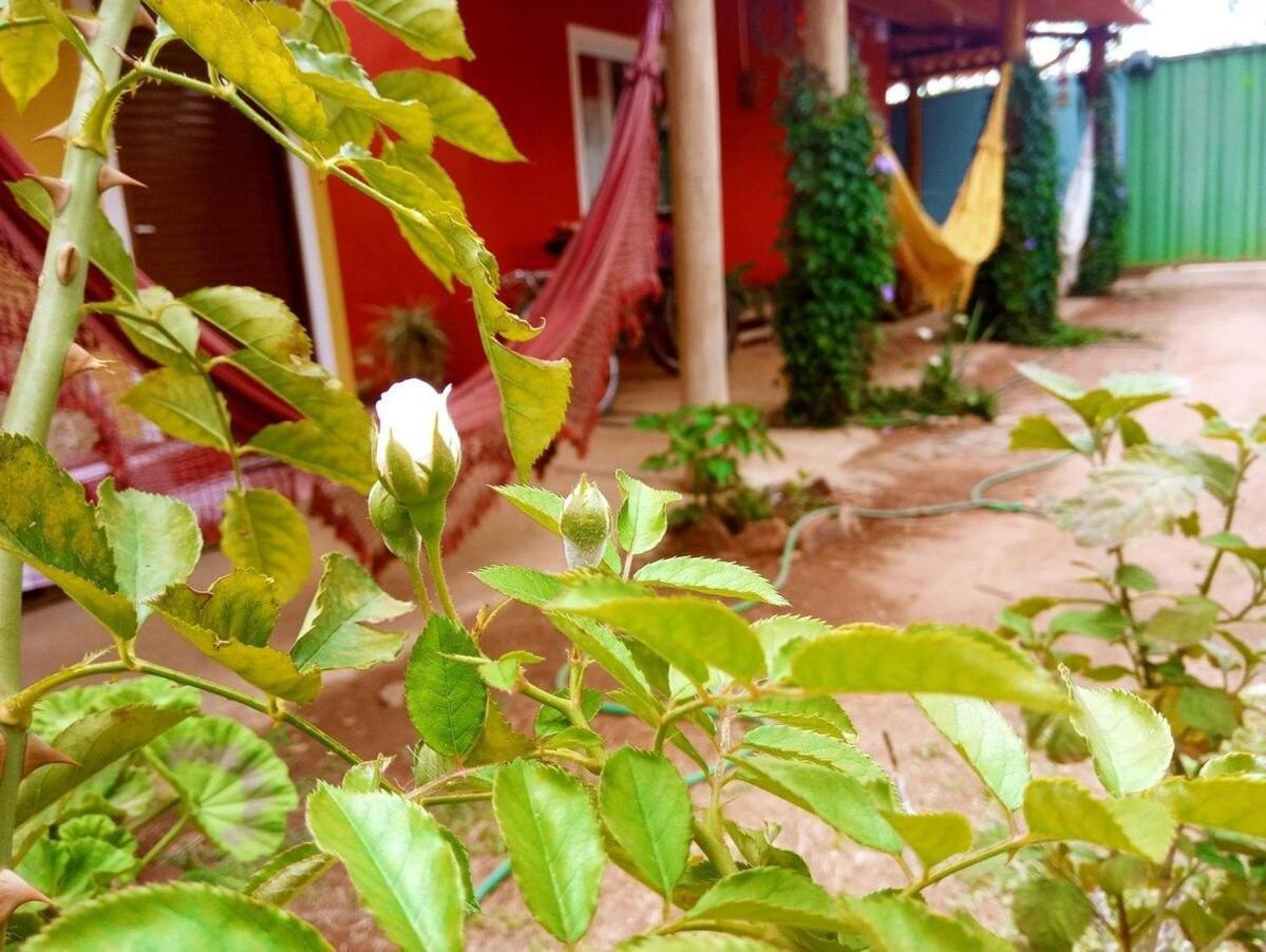 Villa Agape - Chapada Dos Veadeiros Alto Paraíso de Goiás Kültér fotó