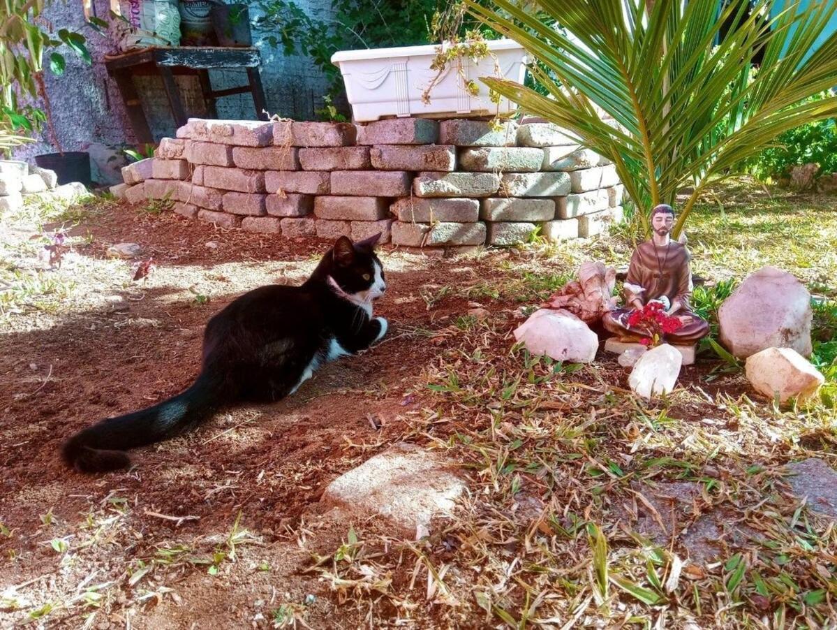 Villa Agape - Chapada Dos Veadeiros Alto Paraíso de Goiás Kültér fotó