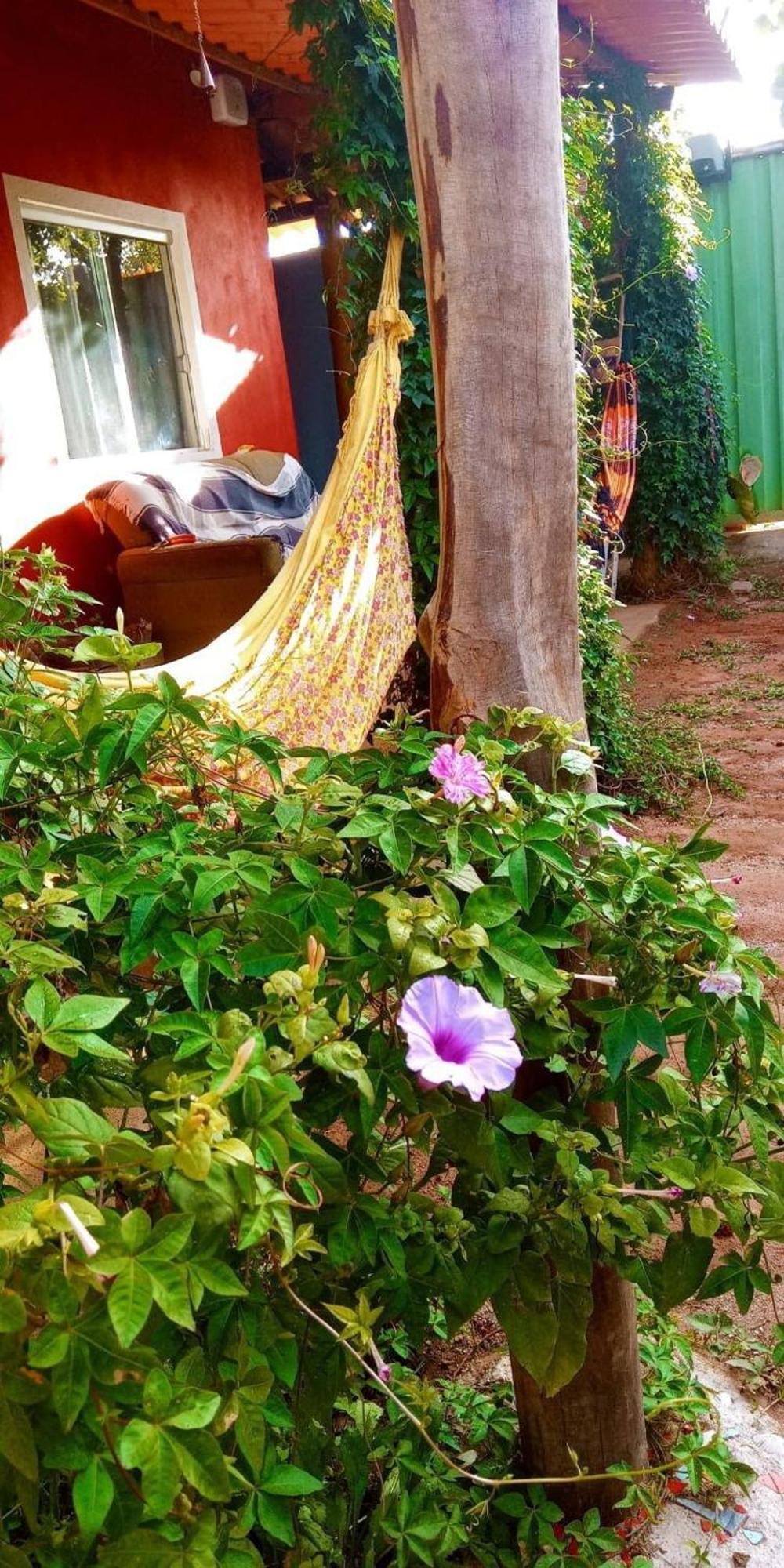 Villa Agape - Chapada Dos Veadeiros Alto Paraíso de Goiás Kültér fotó