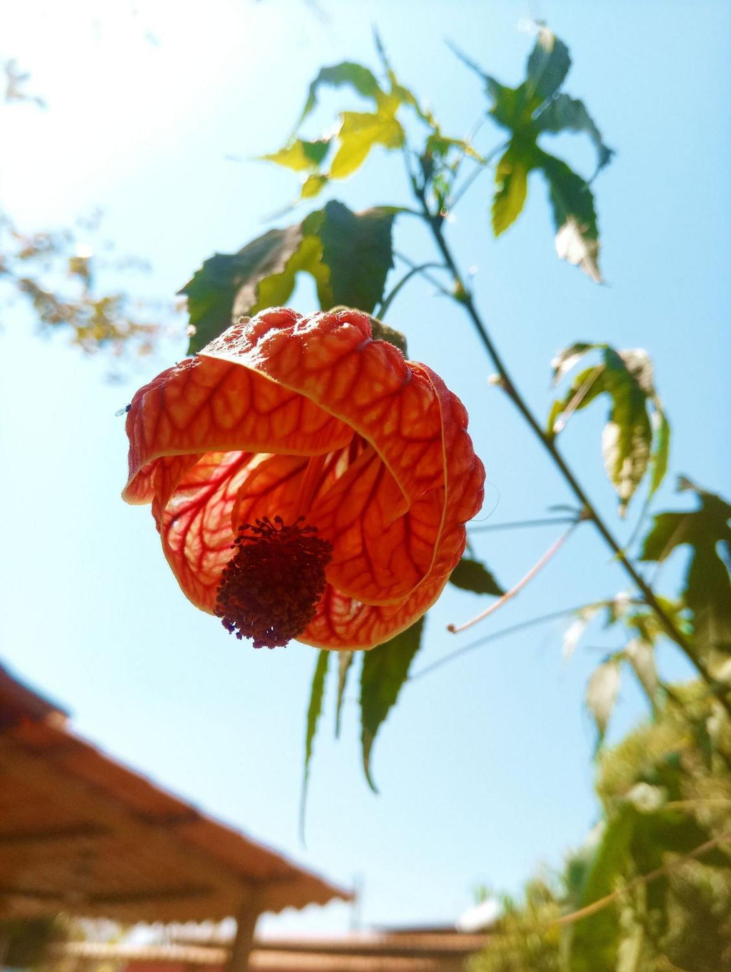 Villa Agape - Chapada Dos Veadeiros Alto Paraíso de Goiás Kültér fotó